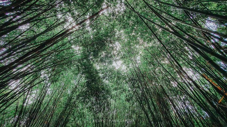 ヤ テン ホームステイ Ban Tha Sai エクステリア 写真